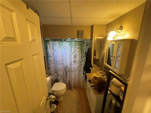 Bathroom featuring wood-type flooring, toilet, vanity, and a paneled ceiling