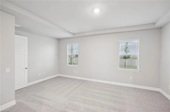 Empty room featuring carpet floors, baseboards, and a raised ceiling