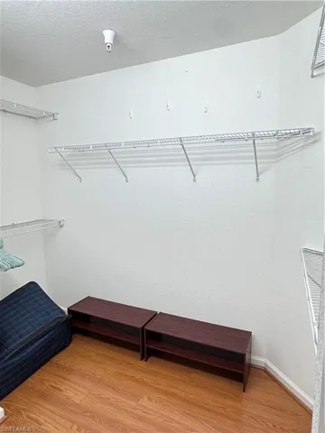 Primary Walk incloset