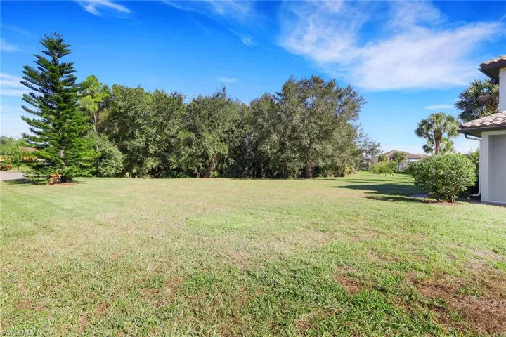 View of grassy yard
