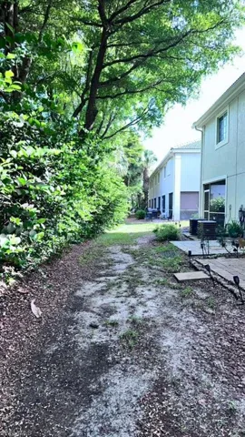 Garden path bordered by established foliage and mature trees