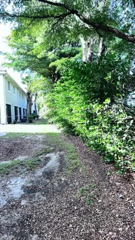 Mature landscaping with established trees and dense foliage