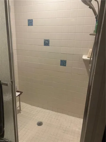 Walk-in shower