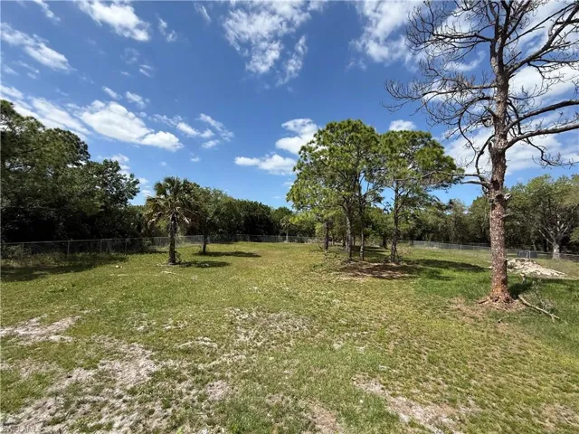 Expansive lot featuring mature trees, a chain-link fence perimeter, and a mix of grass and natural ground cover