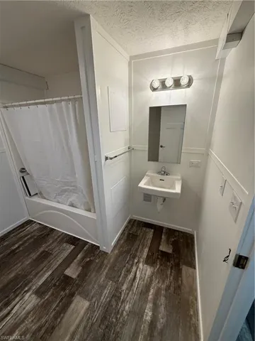 Wood-finish flooring, wall-mounted sink, wall-mounted mirror, and vanity lighting