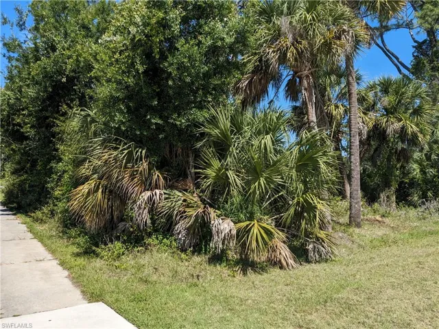 View of nature