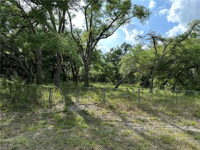 1911 Robert AVE, LEHIGH ACRES FL 33972