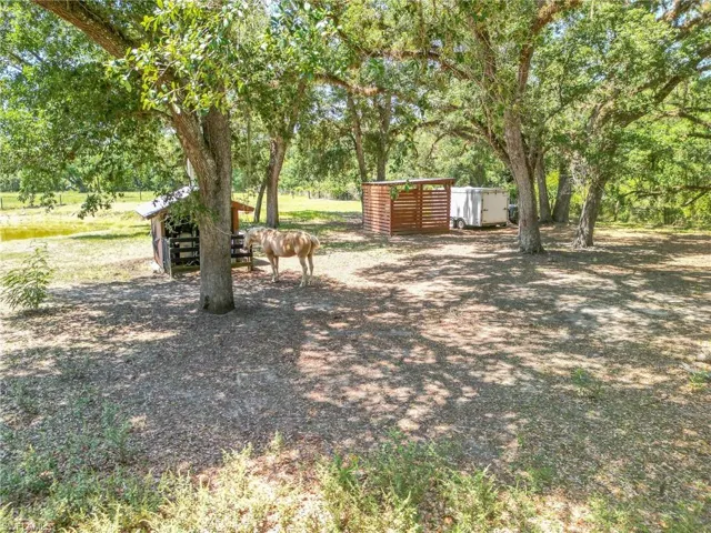 View of yard featuring an outbuilding