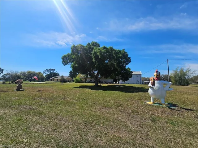 View of property's community featuring a yard
