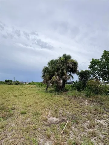 2412 Nw 6th Pl, Cape Coral, Florida 33993