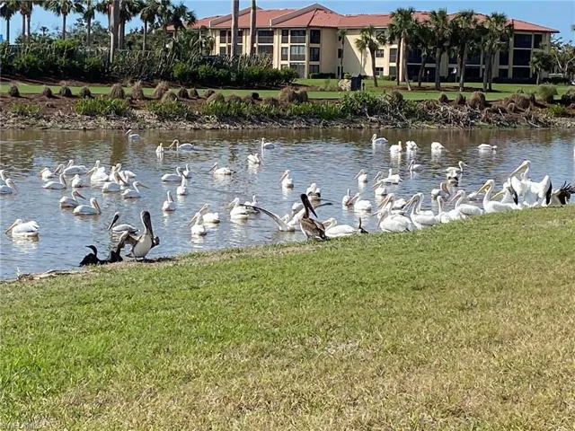 16500  Kelly Cove  DR, Fort Myers, FL 33908