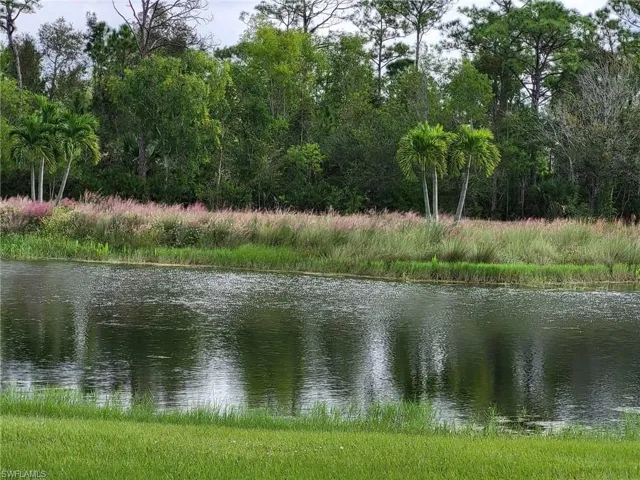 Beauty-Serenity