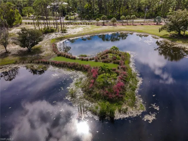 Gorgeous Grasses- Full Blloom Around Larger Of 2 Ponds