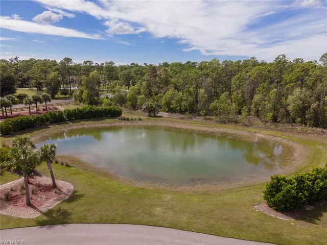 Small Pond- Wet Season