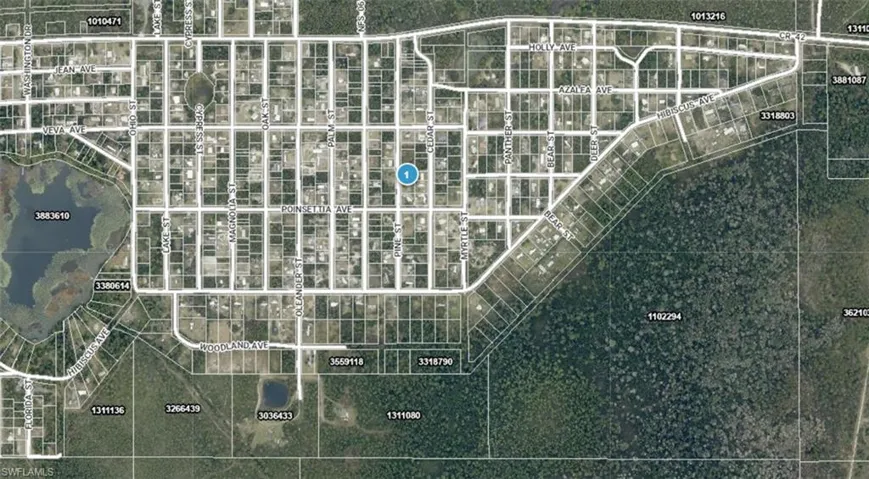 14-17-28-0200-009-01400  Pine  ST, Paisley, FL 32767