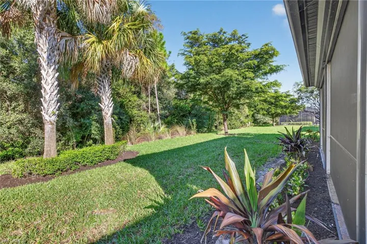 View of grassy yard