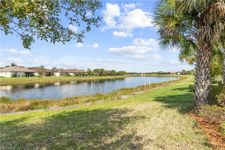 Lake front back yard.   16009 Palmetto Prairie Drive.  Hampton Lakes at River Hall.