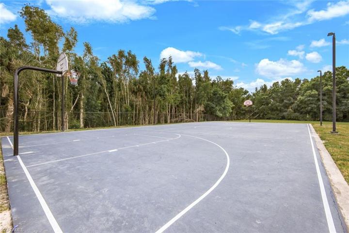 20341  Rookery  DR, Estero, FL 33928