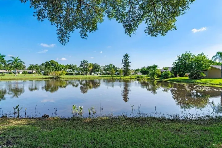 Water view