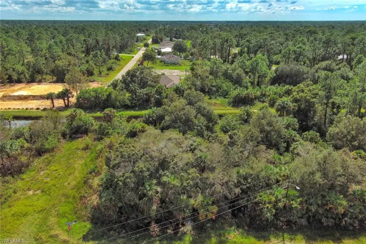 Drone / aerial view of a forest