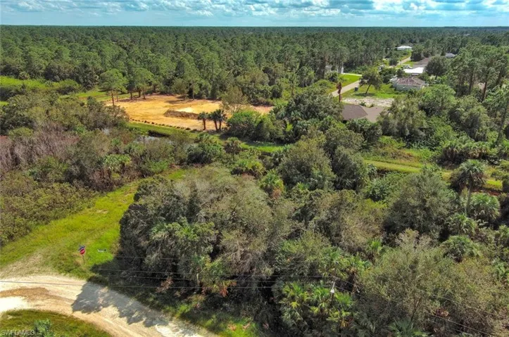 Bird's eye view of a forest