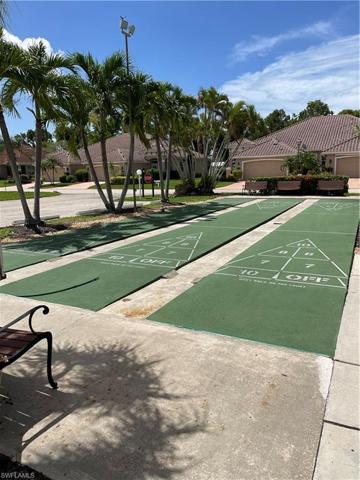 Shuffleboard