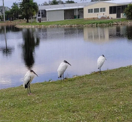 210  Rookery  RD, Naples, FL 34114