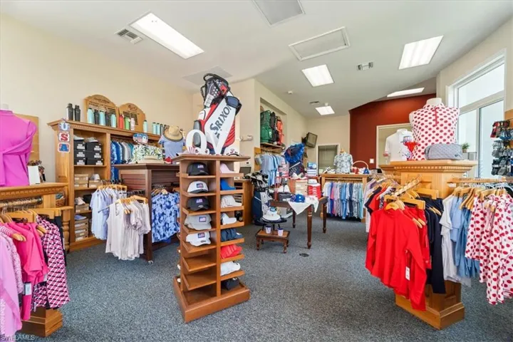Miscellaneous room featuring carpet, attic access, and lofted ceiling