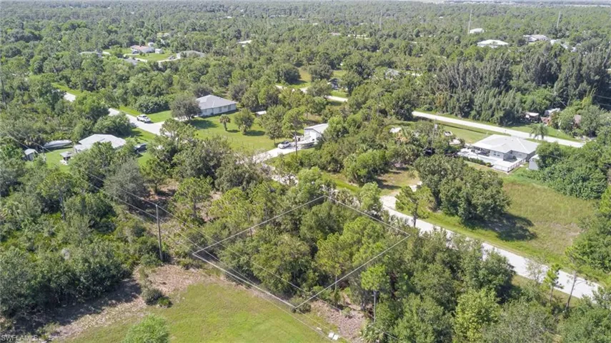 Drone / aerial view of a forest