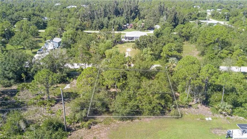 Bird's eye view of a forest