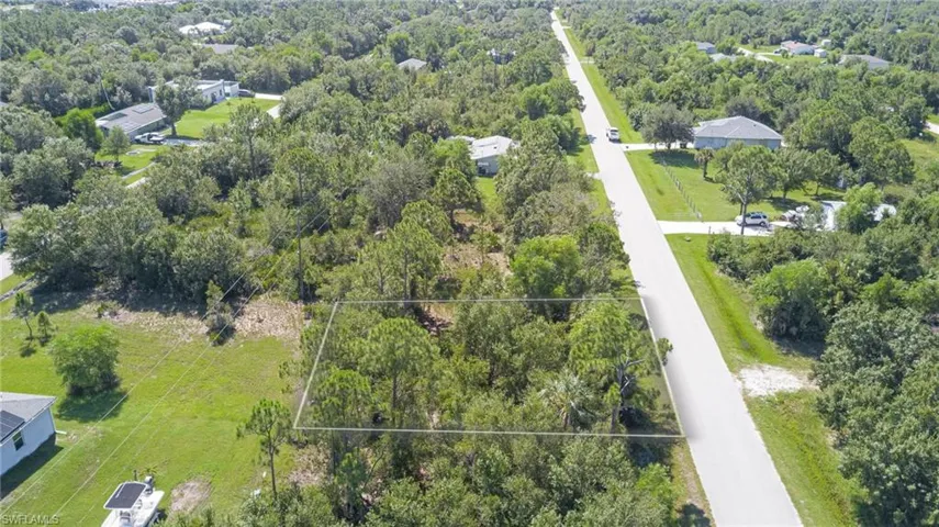 Bird's eye view of a forest