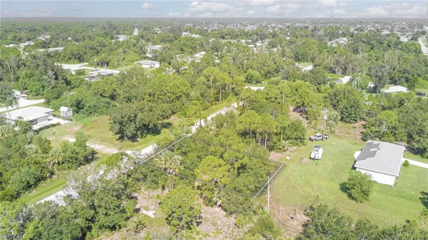 Aerial view of a forest
