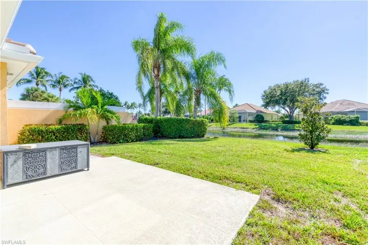 Rear patio featuring a concrete surface, manicured lawn, and mature palm trees
