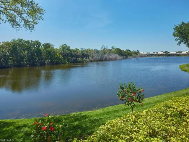 And just outside the lanai door - birds, fish, wildlife! This is what living in Southwest Florida is all about!