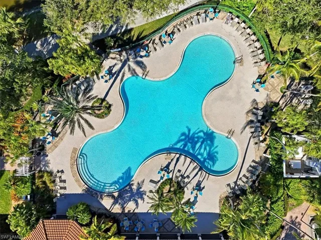 Bird's eye view of a pool