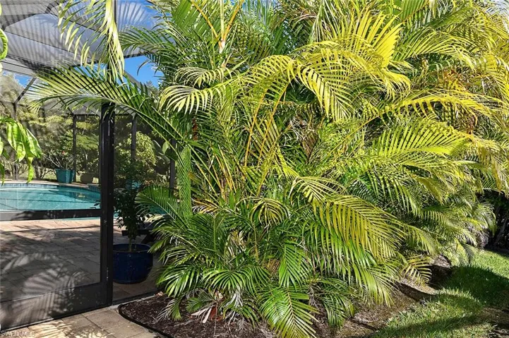 Tropical foliage enhances this home