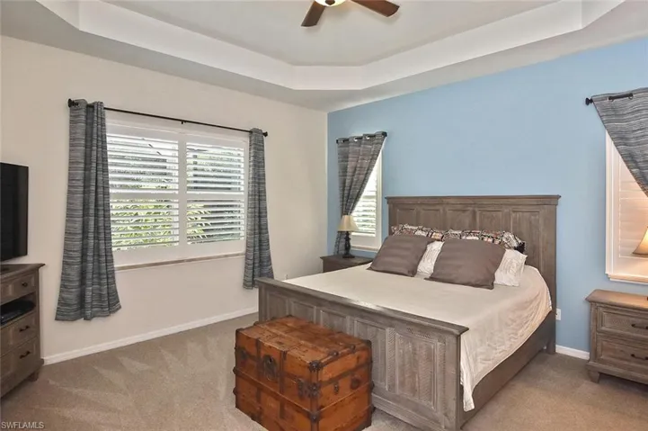 Carpeted Primary Bedroom featuring a tray ceiling, multiple windows, and ceiling fan
