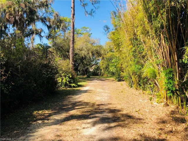 Driveway