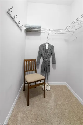 Spacious closet featuring carpet