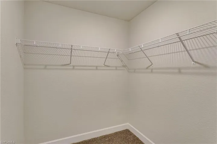Spacious closet with carpet flooring