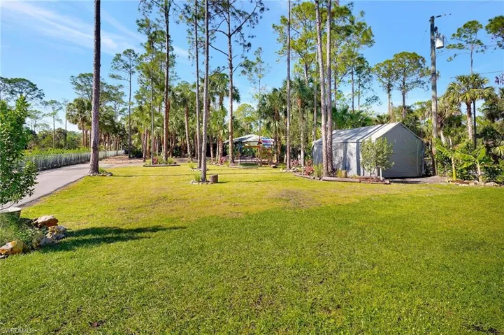 View of yard
