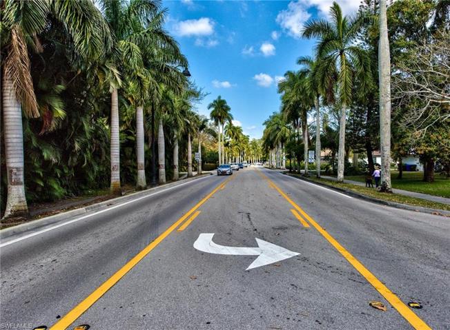 Palm tree lined McGregor Blvd.