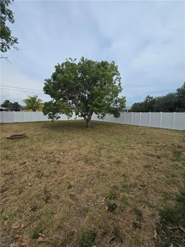 View of Private fenced backyard with (2) mature mango trees and a massive Gumbo Limbo Tree and automatic sprinkler system