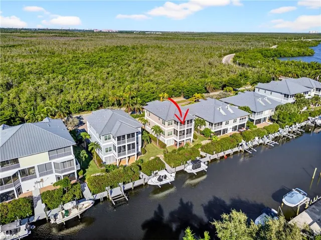 Drone / aerial view of lush mangroves