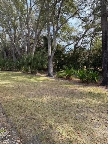 View of green lawn