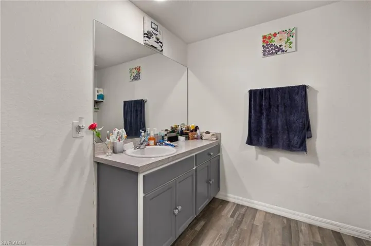 Bathroom with vanity and wood-type flooring