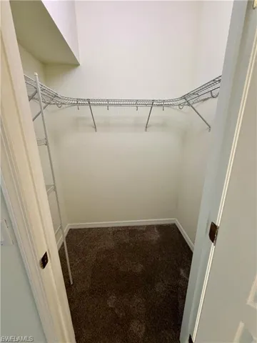 Walk-in closet featuring wire shelving and dark brown carpet flooring