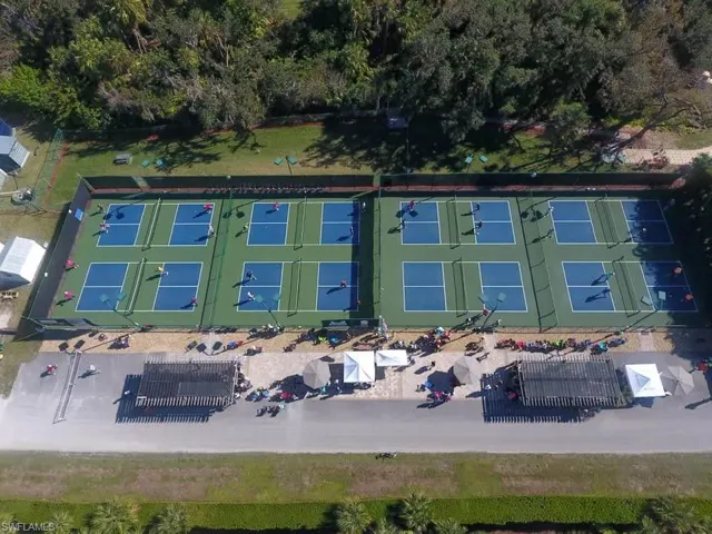 Pickle Ball