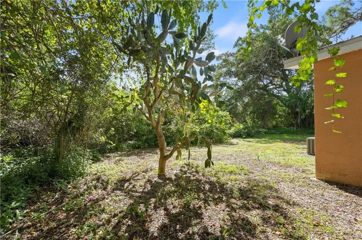4083 Springs Ln, Bonita Springs, Florida 34134