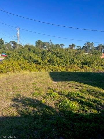 Lot View from REAR